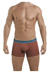 Clever 2394 Attraktive Boxershorts Farbe Braun